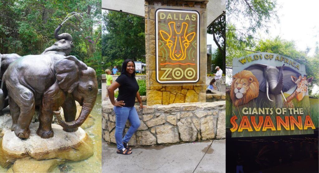 Image of Dallas Zoo Thumbnail
