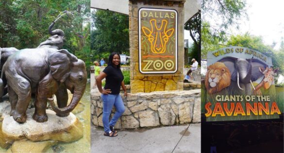 Image of Dallas Zoo Thumbnail
