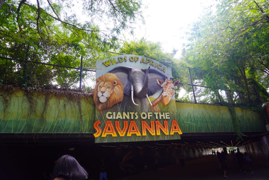 Image of the sign for the African Savanna exhibit.